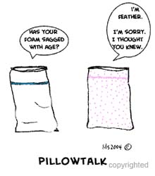 pillow-cartoon