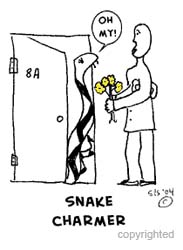 snake-cartoon